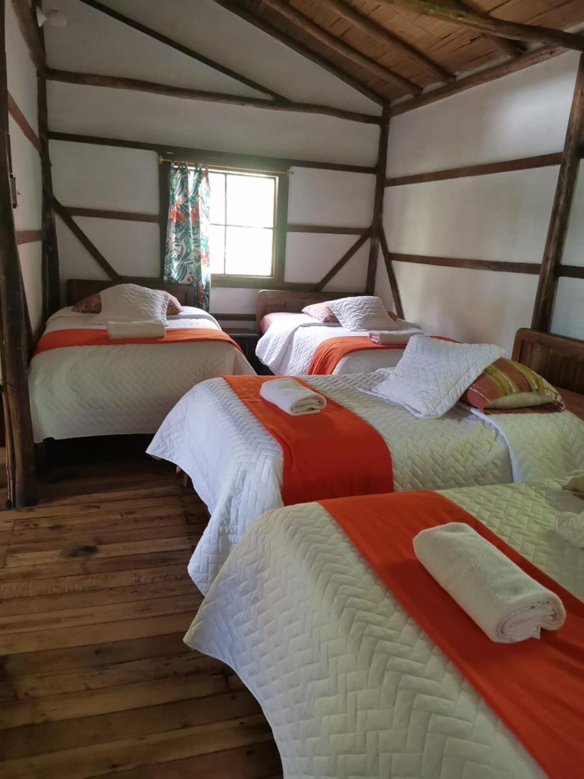 Cabanas Bambu Mindo Dış mekan fotoğraf