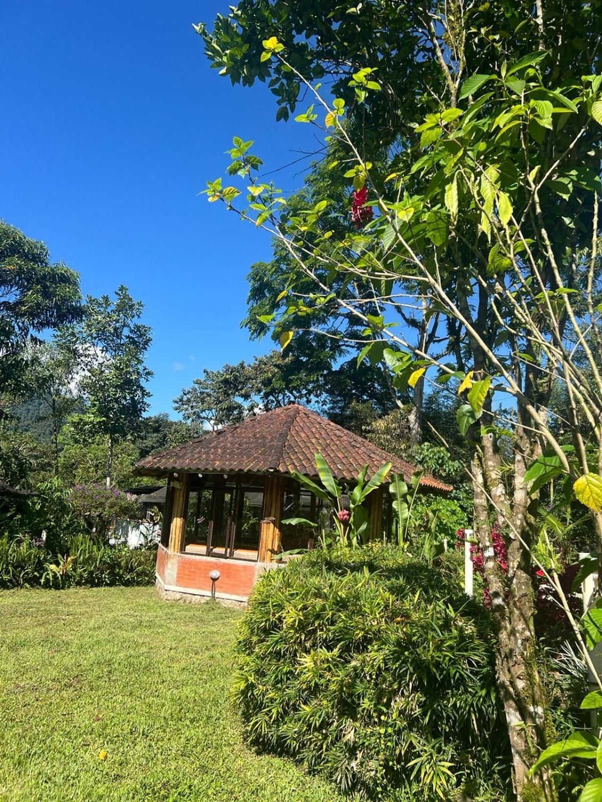 Cabanas Bambu Mindo Dış mekan fotoğraf