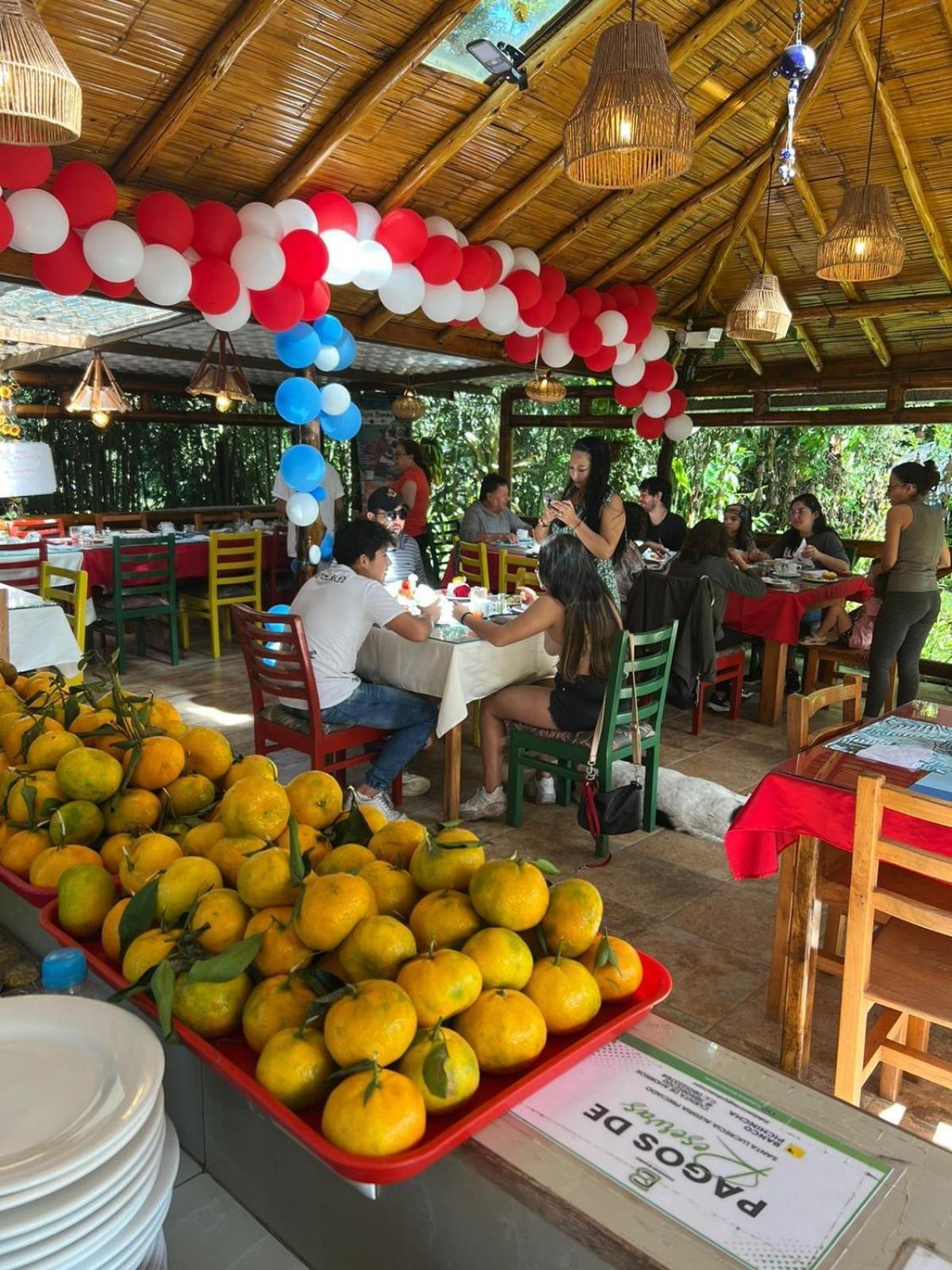 Cabanas Bambu Mindo Dış mekan fotoğraf