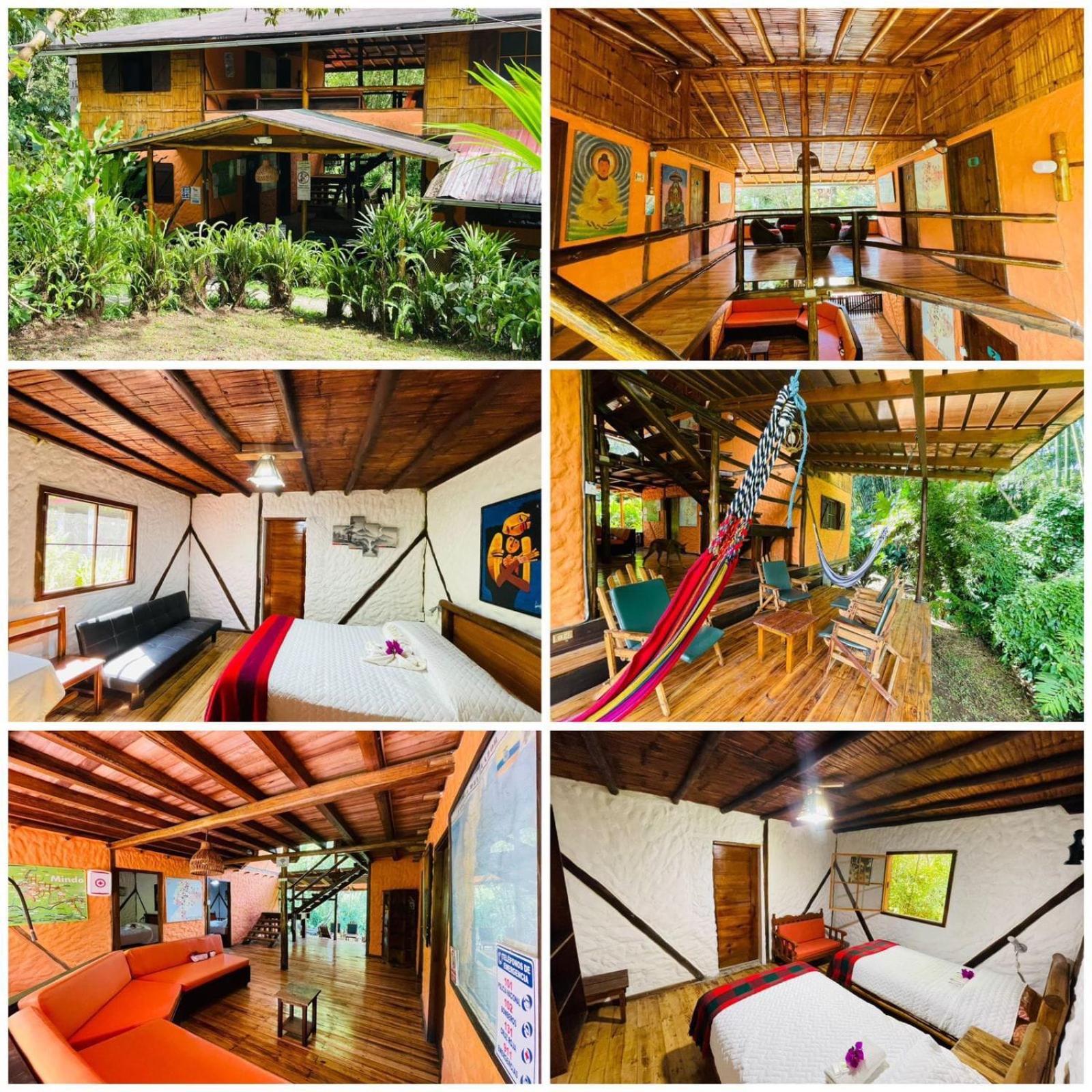 Cabanas Bambu Mindo Dış mekan fotoğraf