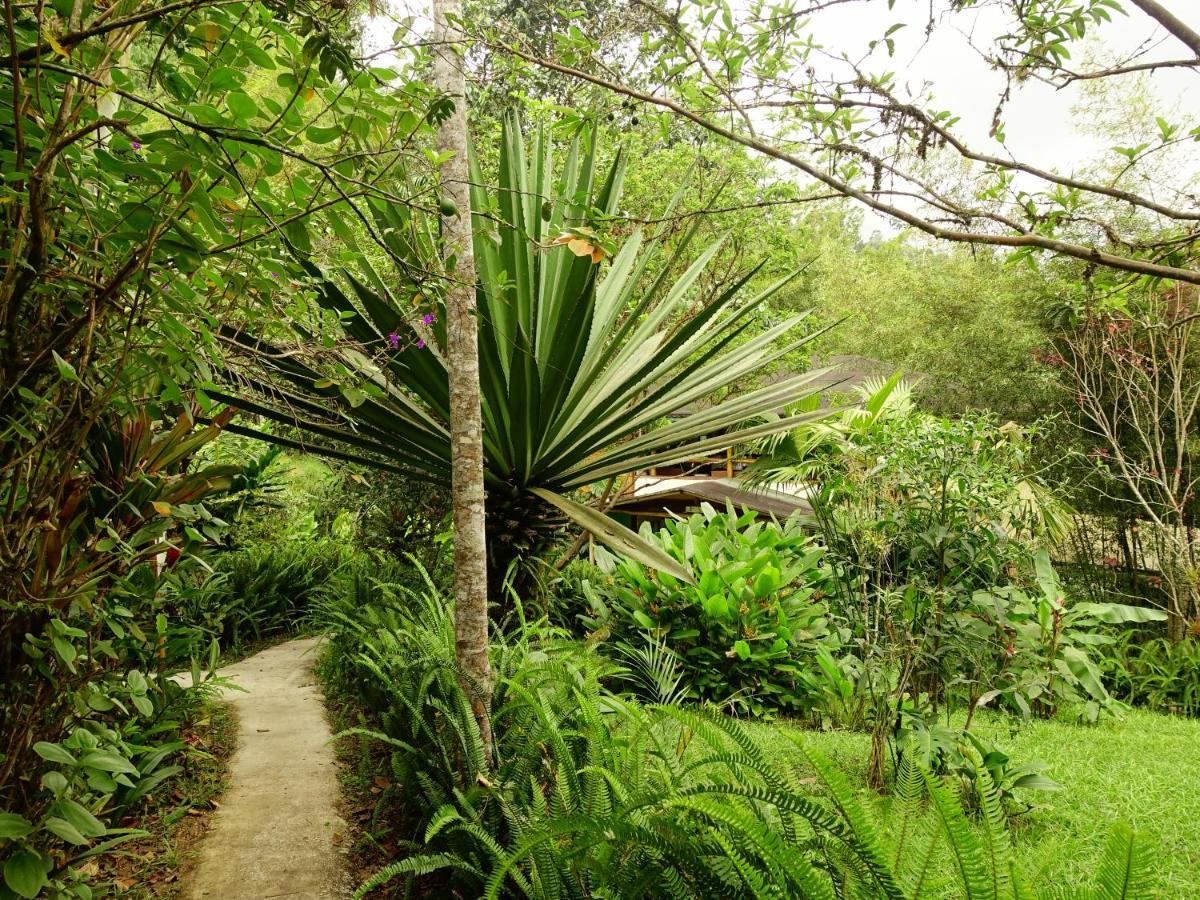 Cabanas Bambu Mindo Otel Dış mekan fotoğraf